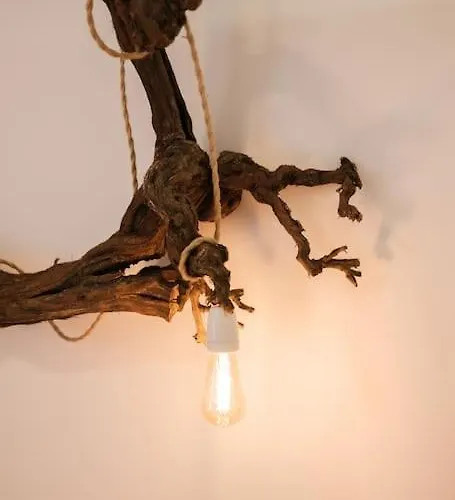 Babhouse Casa D'ouro